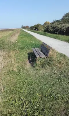 Paysage naturel près de la maison de vacances