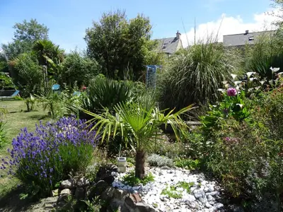 Jardin de l'établissement Gîte 