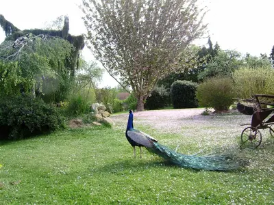 Jardin de l'établissement La Ferme du Bourg