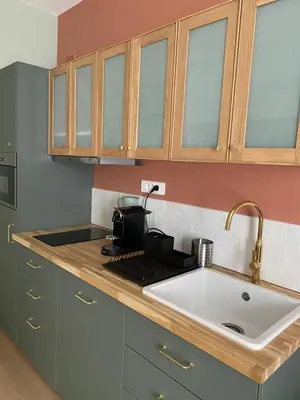 Cuisine ou kitchenette dans l'établissement Villa st Louis 2
