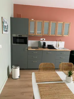 Cuisine ou kitchenette dans l'établissement Villa st Louis 2