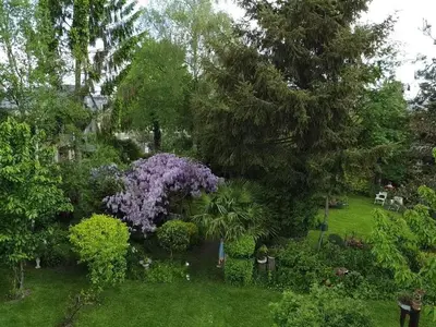 Jardin de l'établissement Maison historique du 15ème siècle avec jardin à La Carneille - FR-1-497-135
