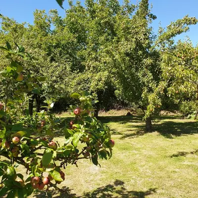 Jardin de l'établissement Gîte de la Founauderie