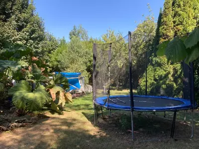 Jardin de l'établissement Le Château du Bonheur, Piscine, Sauna et Jacuzzi