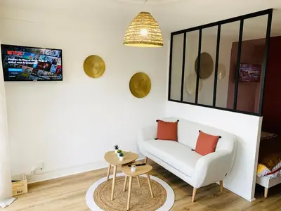 Télévision ou salle de divertissement dans l'établissement Studio ScandiChic tout équipé centre-gare-rives-clinique à pied