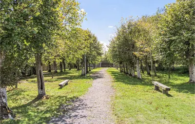 Jardin de l'établissement Maison 4