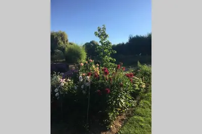 Jardin de l'établissement Coeur de Combray (Ifs appartment)