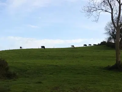 Paysage naturel près de la maison de vacances