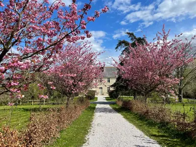 Jardin de l'établissement CHATEAU DE MONFREVILLE