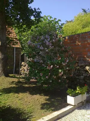 Jardin de l'établissement LA VUULE MAISON