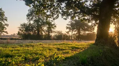 Paysage naturel près de la maison d'hôtes