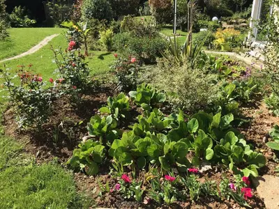 Jardin de l'établissement Maison Blanche en Côte de Nacre