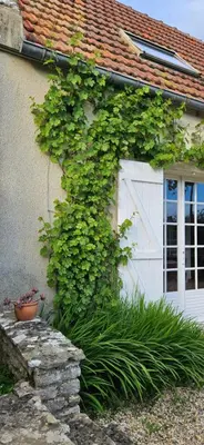 Jardin de l'établissement La petite chouette