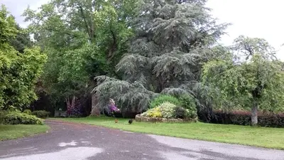 Jardin de l'établissement B&B La Gautraie