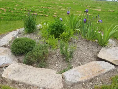 Jardin de l'établissement Maison Tombelaine