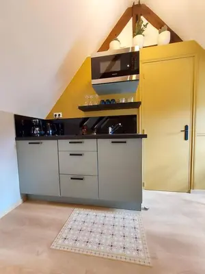 Cuisine ou kitchenette dans l'établissement Studio Exupere