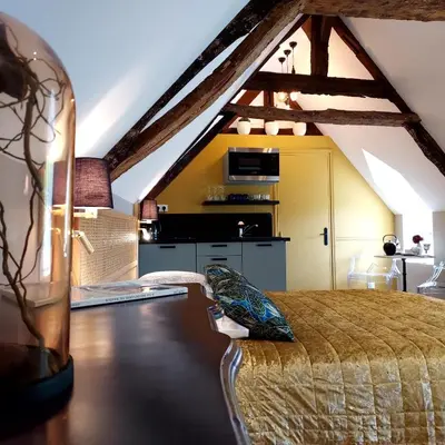 Cuisine ou kitchenette dans l'établissement Studio Exupere
