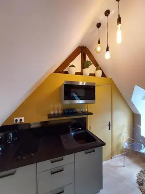 Cuisine ou kitchenette dans l'établissement Studio Exupere