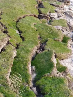 Paysage naturel près de la maison de vacances