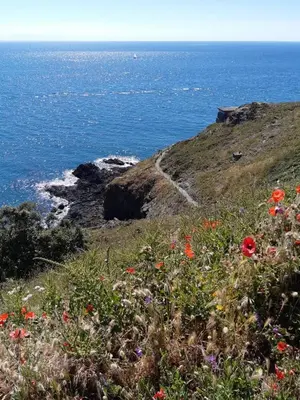 Paysage naturel près de l'appartement