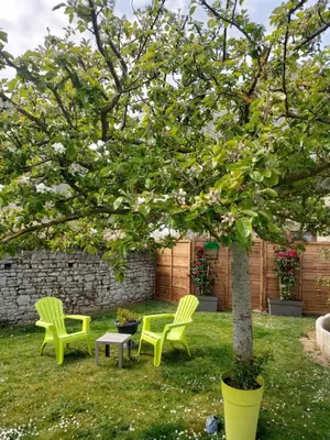Jardin de l'établissement Le Petit Clos