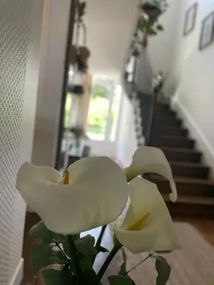 Plan de l'établissement Villa des Roses