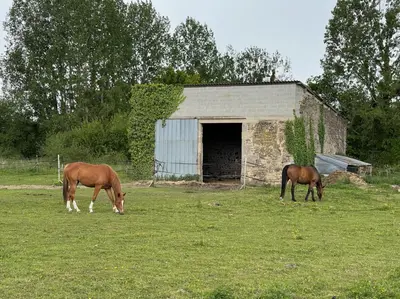 Animaux dans le B&B/chambre d'hôtes ou à proximité