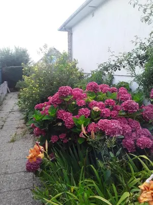 Jardin de l'établissement Grande maison vue sur mer