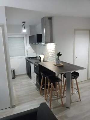 Cuisine ou kitchenette dans l'établissement L'annexe