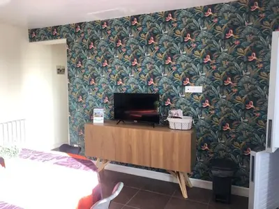 Télévision ou salle de divertissement dans l'établissement Gite au pied des dunes, 200m de la plage