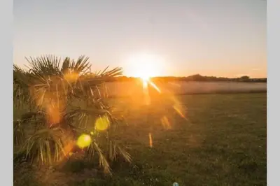 Lever ou coucher de soleil vu de la maison de vacances ou à proximité