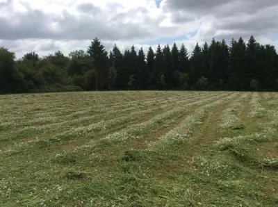 Paysage naturel près de la maison de vacances