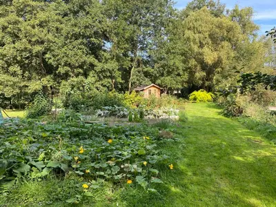 Jardin de l'établissement Les 2 gites des Chambres de Capucine