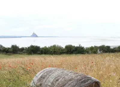 Paysage naturel près de l'appartement