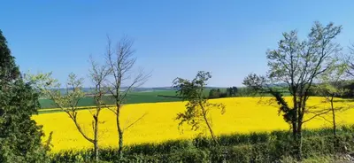 Paysage naturel près de l'appartement