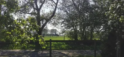 Jardin de l'établissement Le Repos des Crins Noirs