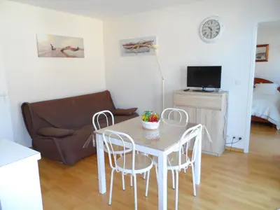 Télévision ou salle de divertissement dans l'établissement Cabourg: Appartement 2 pièces proche plage avec piscine et parking - FR-1-487-299