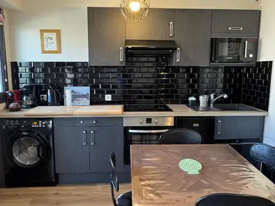 Cuisine ou kitchenette dans l'établissement Appartement 2P, vue mer, animaux acceptés, parking - FR-1-487-302