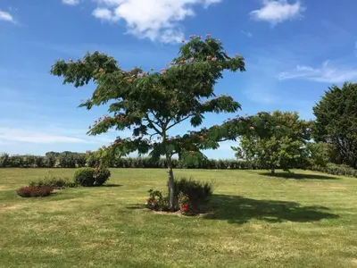 Jardin de l'établissement Gites Bellevue