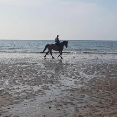 Équitation au sein de l'appartement ou à proximité