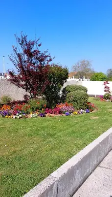 Jardin de l'établissement Cosy studio le Garden ensoleillé