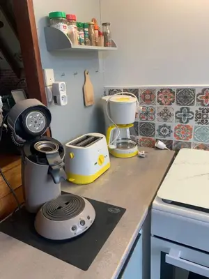 Cuisine ou kitchenette dans l'établissement Chalet de vacances au bord de mer VER SUR MER