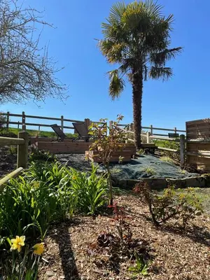 Jardin de l'établissement Maison chaleureuse avec terrasse et vue baie