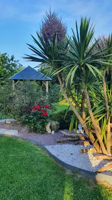 Jardin de l'établissement Le coup de foudre