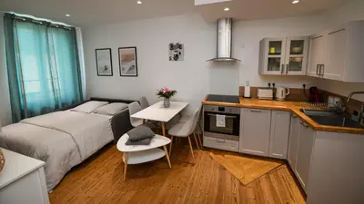 Cuisine ou kitchenette dans l'établissement Superbe appartement proche port Guillaume