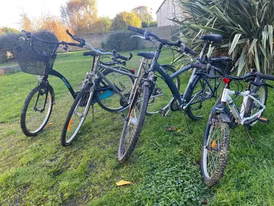 Vélo sur le terrain de l'établissement L étable ou dans les environs