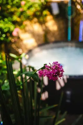 Jardin de l'établissement Appartement fraîchement rénovée - Jacuzzi au cœur de Caen