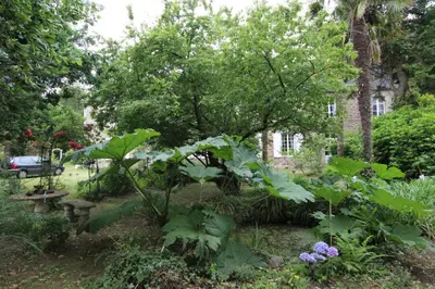 Jardin de l'établissement Le Presbytère, Cotentin, Val de Saire, Fermanville, proximité immédiate mer et forêt