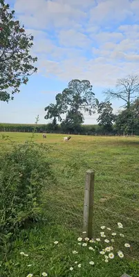Paysage naturel près de la maison de vacances