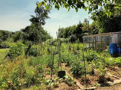 Jardin de l'établissement Agritourisme Abaé